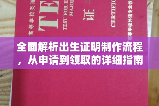临清全面解析出生证明制作流程，从申请到领取的详细指南